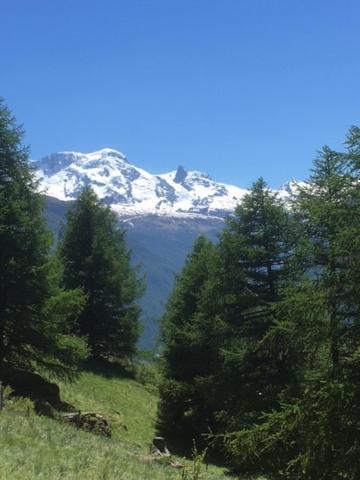 Haus Valaisia - Randa Bei Zermattアパートメント エクステリア 写真